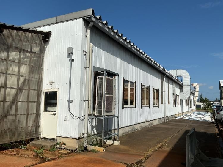 {{ page.data.title }}