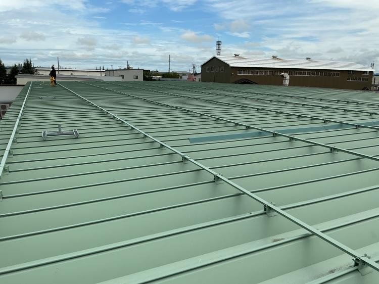 {{ page.data.title }}