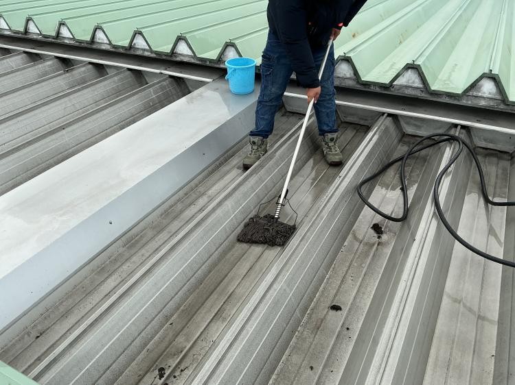 {{ page.data.title }}