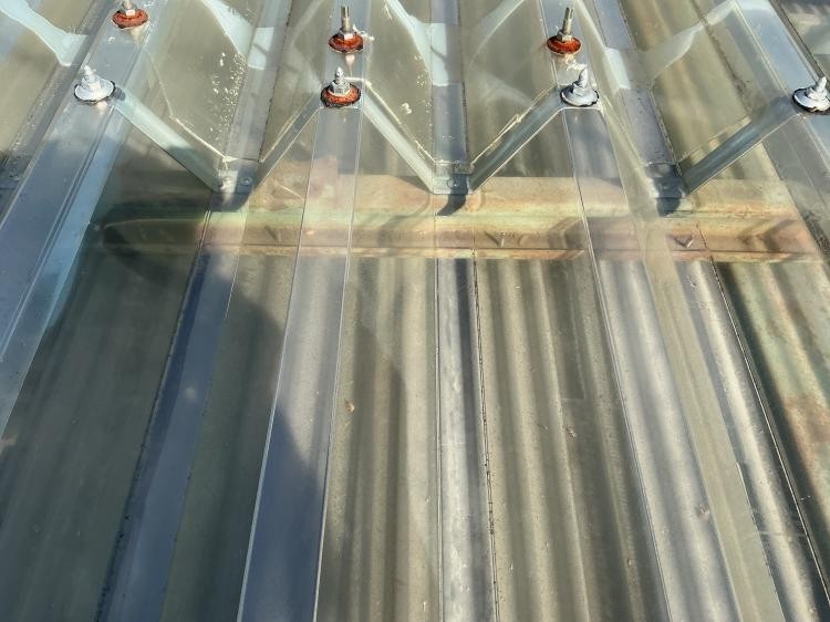 {{ page.data.title }}