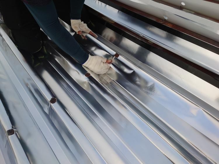 {{ page.data.title }}