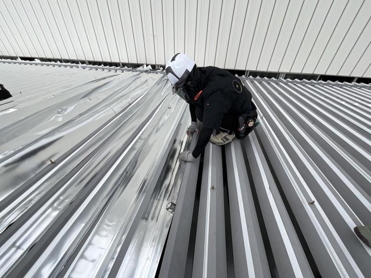 {{ page.data.title }}