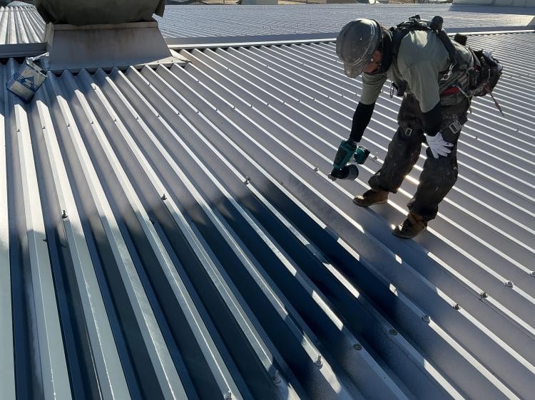 {{ page.data.title }}