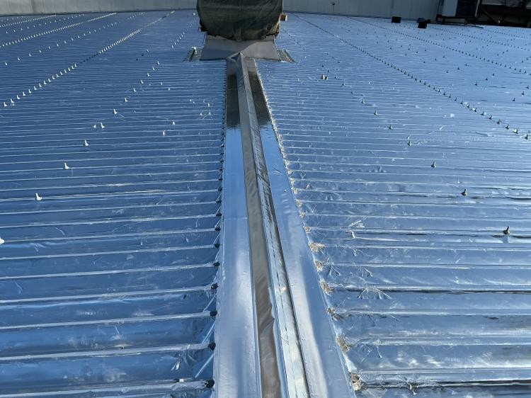 {{ page.data.title }}