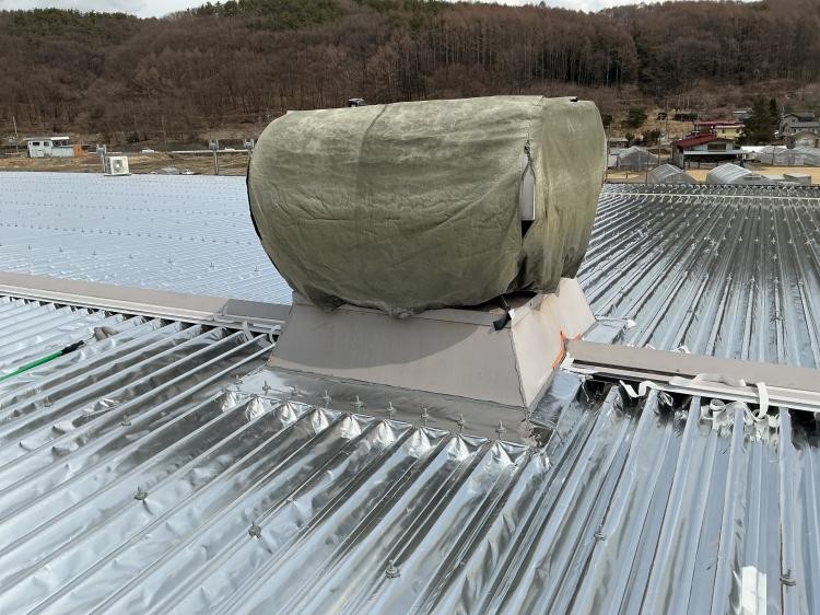 {{ page.data.title }}